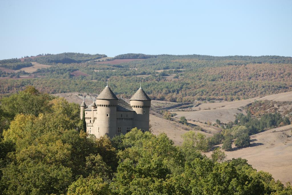 Chateau De Lugagnac Rivière-sur-Tarn Zewnętrze zdjęcie